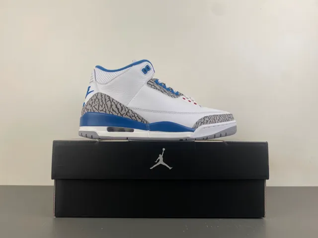 Chaussures de basketball Air Jordan 3 blanc et bleu royal à motif éléphant 15