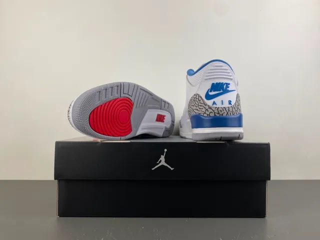 Chaussures de basketball Air Jordan 3 blanc et bleu royal à motif éléphant 16