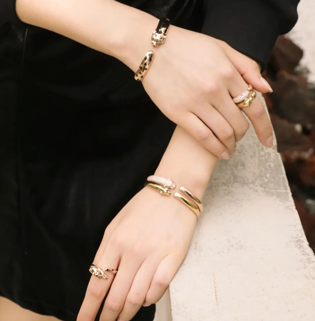Cartier Panthère Gold Silver Open Bangle Panther-Head Terminals Bracelet 3
