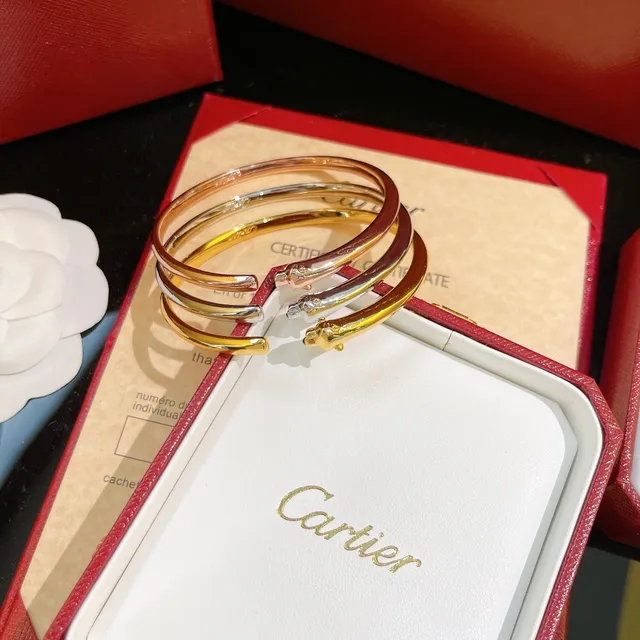 Cartier Panthère Gold Silver Open Bangle Panther-Head Terminals Bracelet 4