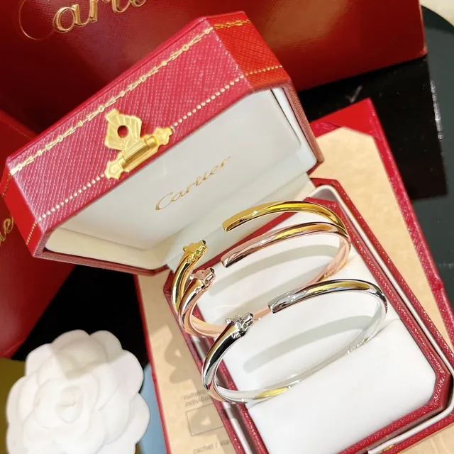 Cartier Panthère Gold Silver Open Bangle Panther-Head Terminals Bracelet 5