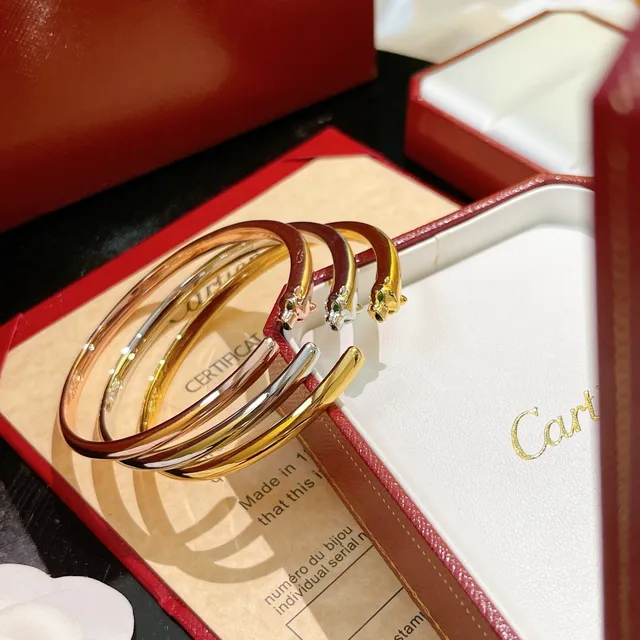 Cartier Panthère Gold Silver Open Bangle Panther-Head Terminals Bracelet 8