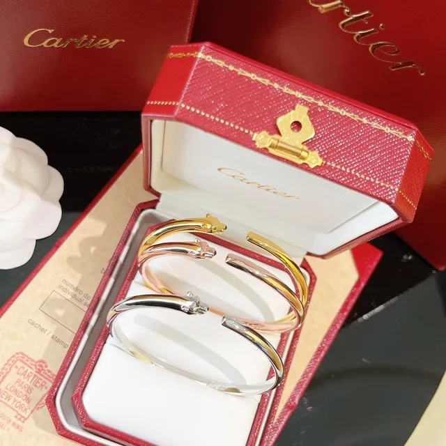 Cartier Panthère Gold Silver Open Bangle Panther-Head Terminals Bracelet 9