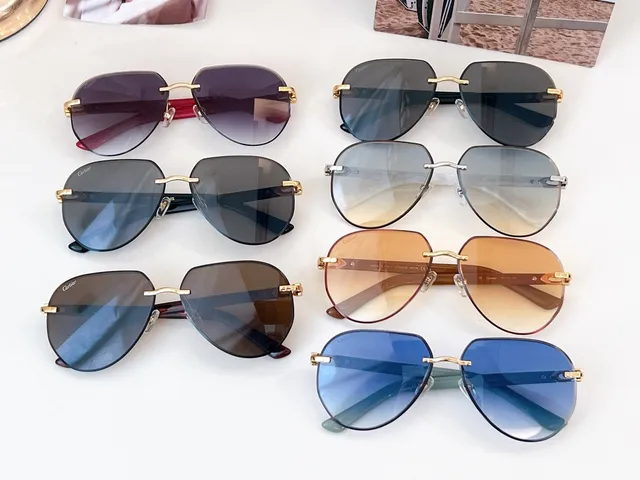 Cartier Red Brown Rimless Oval Gold Hinge Clasp Sunglasses 2