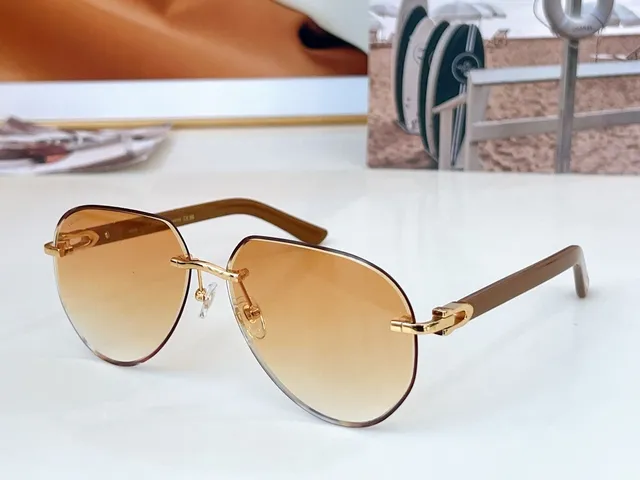 Cartier Red Brown Rimless Oval Gold Hinge Clasp Sunglasses 5