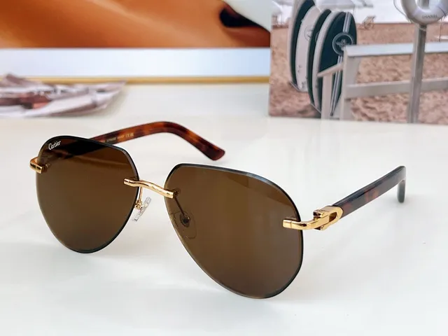 Cartier Red Brown Rimless Oval Gold Hinge Clasp Sunglasses 9