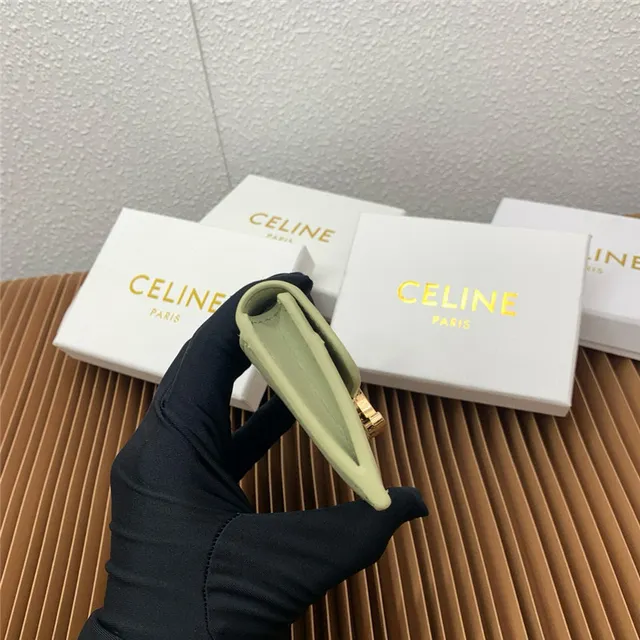 Celine Triomphe বেইজ সোনালি কম্প্যাক্ট আয়তাকার সিলহুয়েট ফ্ল্যাপ বন্ধ কার্ডধারক 23