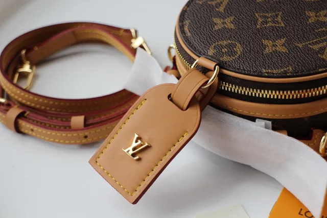 Louis Vuitton Brown Beige Circular Mini Silhouette Monogram Canvas Saddle Bag 2