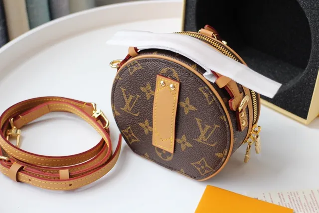 Louis Vuitton Brown Beige Circular Mini Silhouette Monogram Canvas Saddle Bag 4