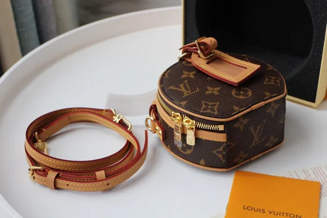 Louis Vuitton Brown Beige Circular Mini Silhouette Monogram Canvas Saddle Bag 9