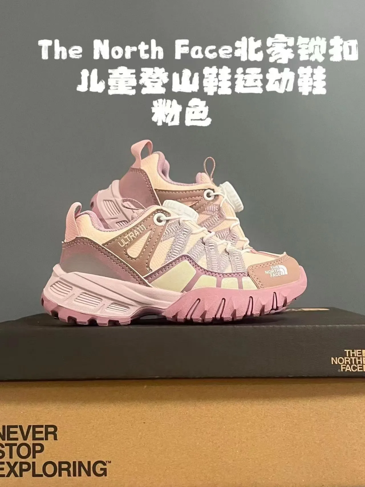 The North Face Sneakers Lifestyle Rose Beige à Semelle Chunky, Tige en Mesh-Synthétique à Couches 6
