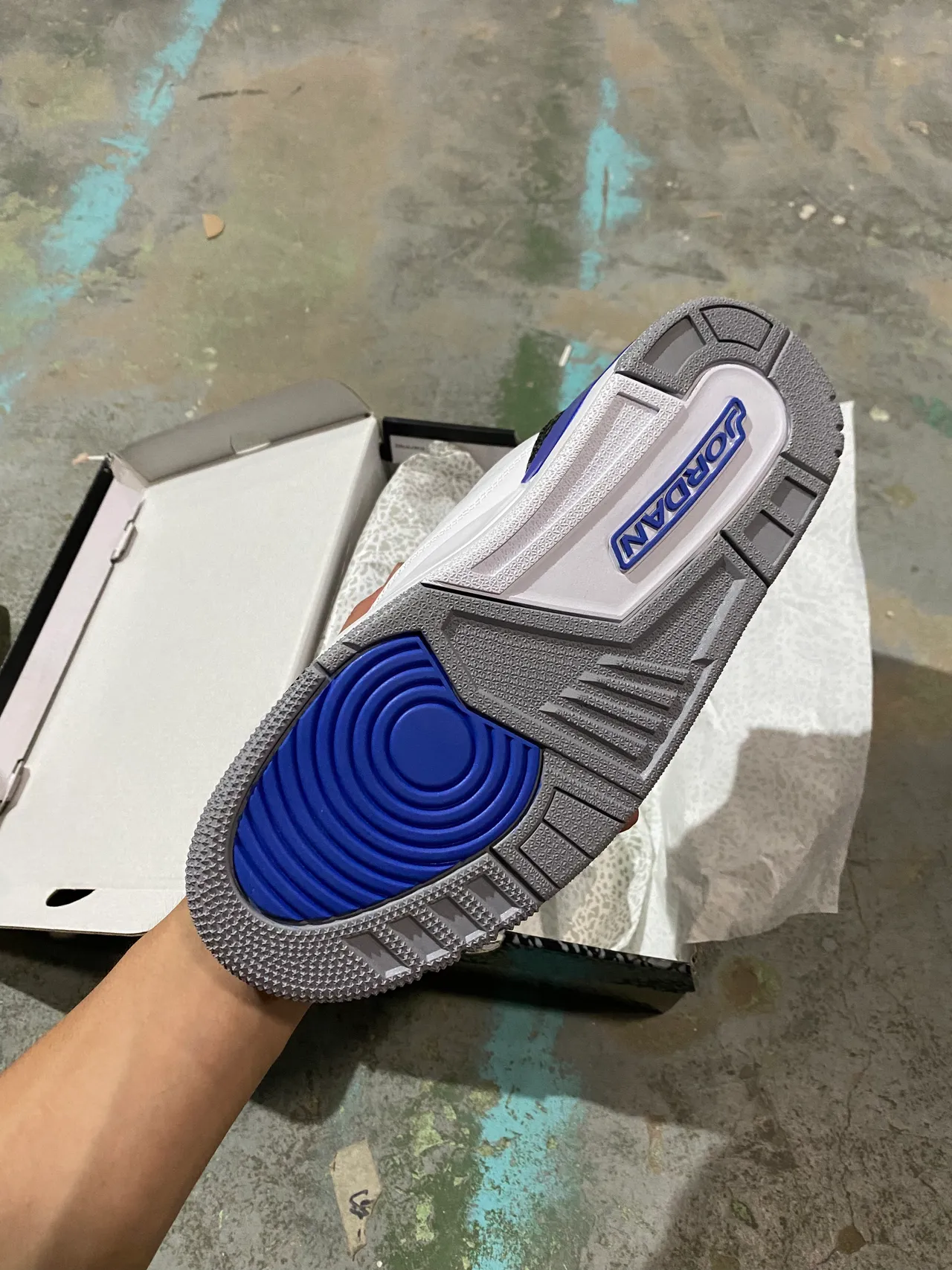 Air Jordan 3 Chaussures de Basketball Blancs à Imprimé Éléphant Bleu Royal 5