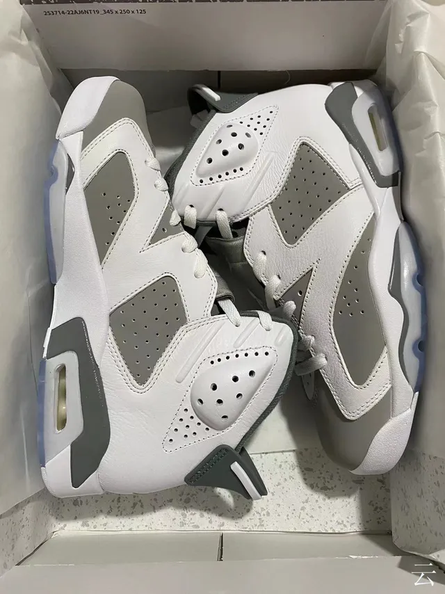 Air Jordan 6 Zapatos de baloncesto blanco gris 7