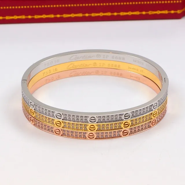 Cartier Love Gold Silver Hinged Bangle Pavé-Stone Embellished Bracelet 6
