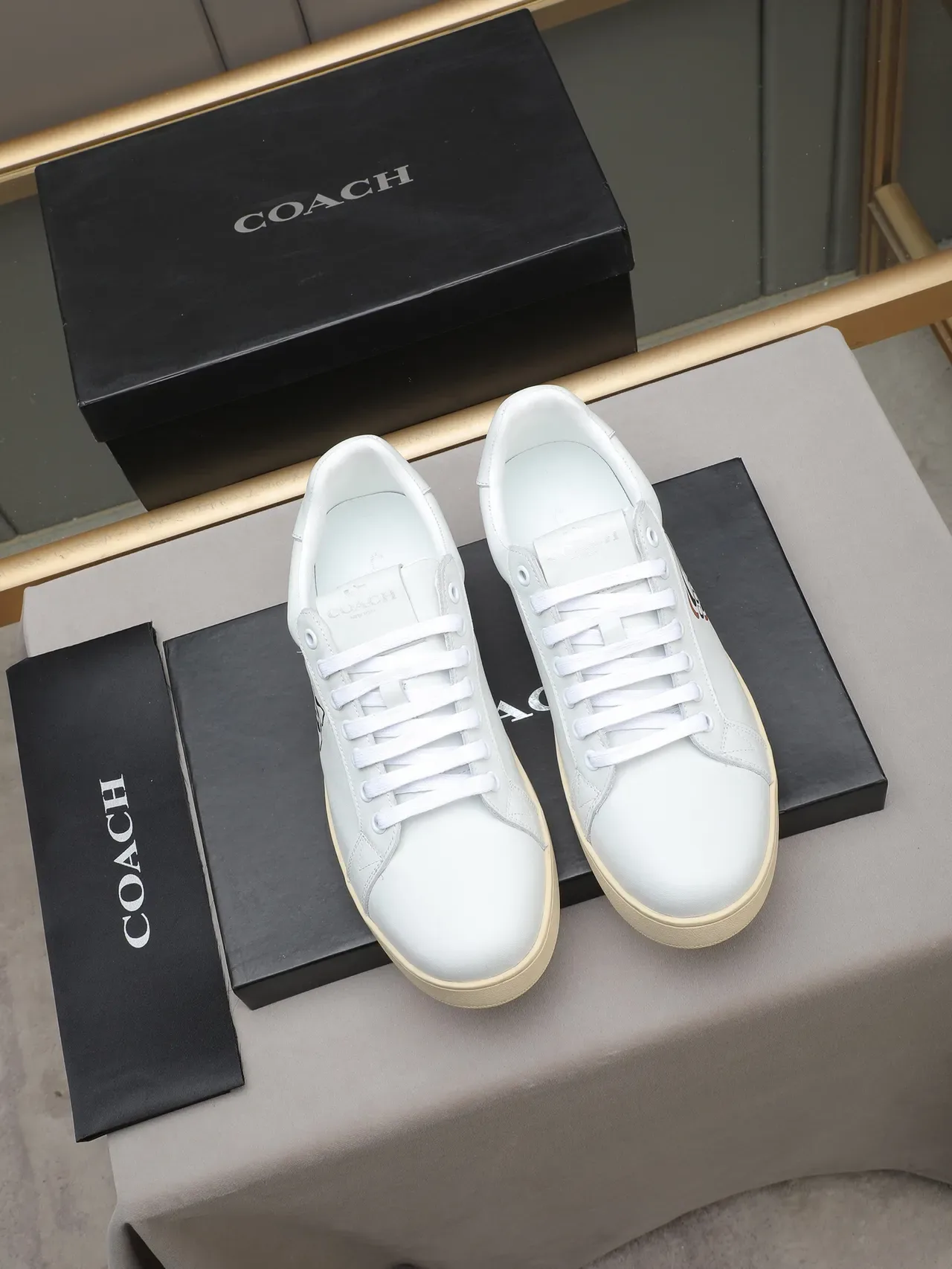 Coach Logo Sneakers Lifestyle Cuir Low-Top 2