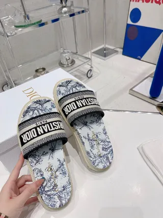 Dior B27 Slide White Blue Toile de Jouy Slippers 2