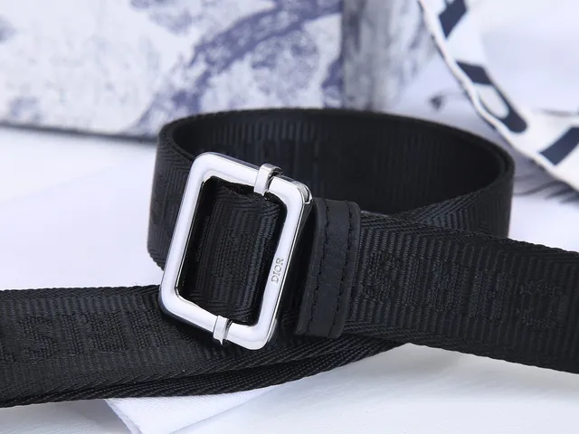 Dior Saddle Black Silver Structured Silhouette Smooth Material Saddle Bag 5