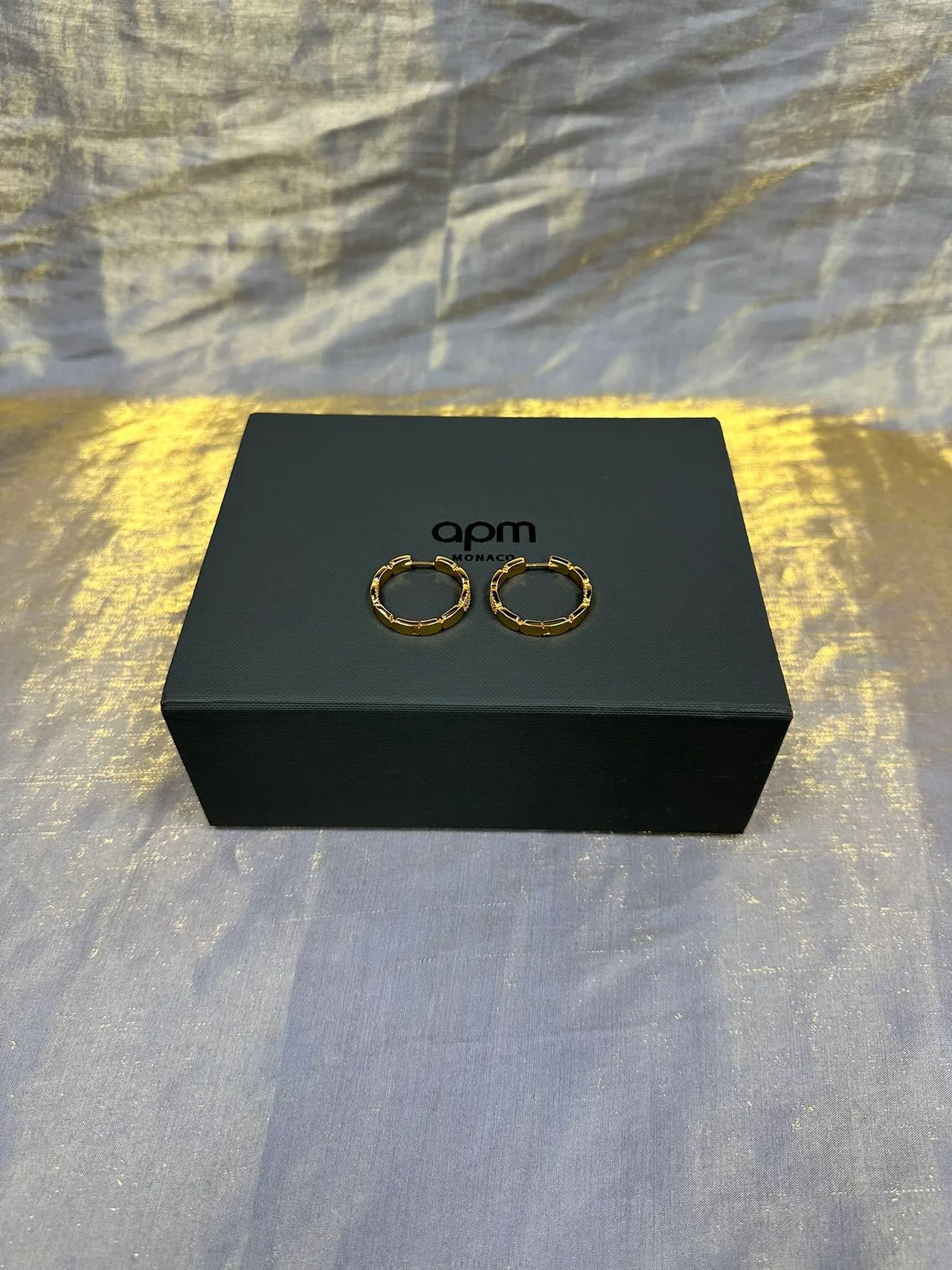 Gold-Tone Segmented Pavé Hoop Earrings 6