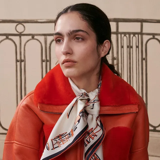 Hermès एविएशन डिजाइन रेशम स्कार्फ 3