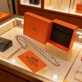 Hermès 银色调重链曲链项链
