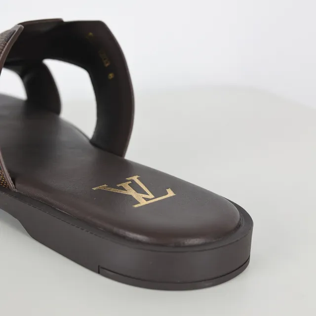Louis Vuitton Run Away भूरा Monogram Canvas डबल-स्ट्रैप केजुअल सैंडल्स 4