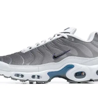 Nike Air Max Plus Gris et Bleu Lifestyle Sneakers