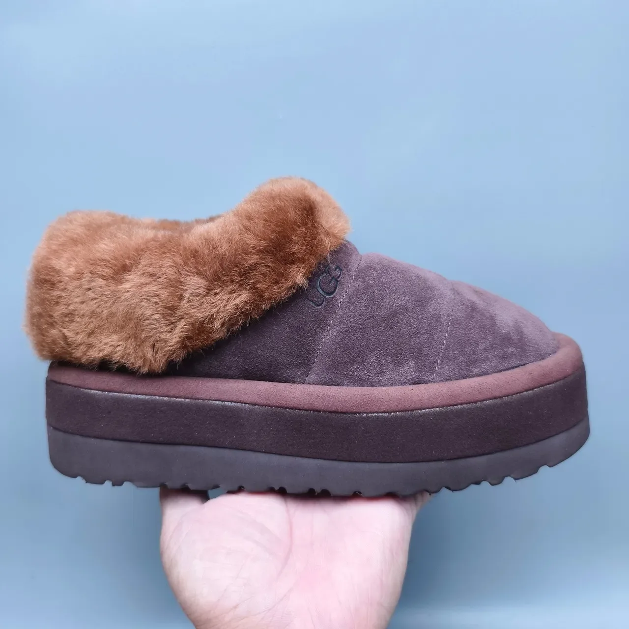 UGG Tasman ब्राउन बीज प्लेटफॉर्म सोल शियरलिंग-लाइन्ड कॉलर कासुअल जूते 2