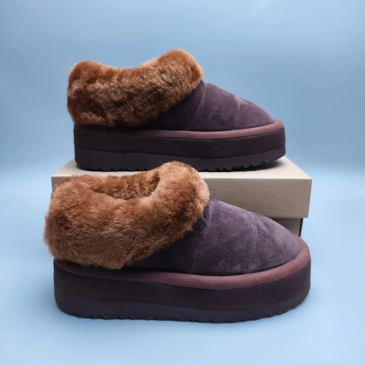 UGG Tasman ब्राउन बीज प्लेटफॉर्म सोल शियरलिंग-लाइन्ड कॉलर कासुअल जूते 5