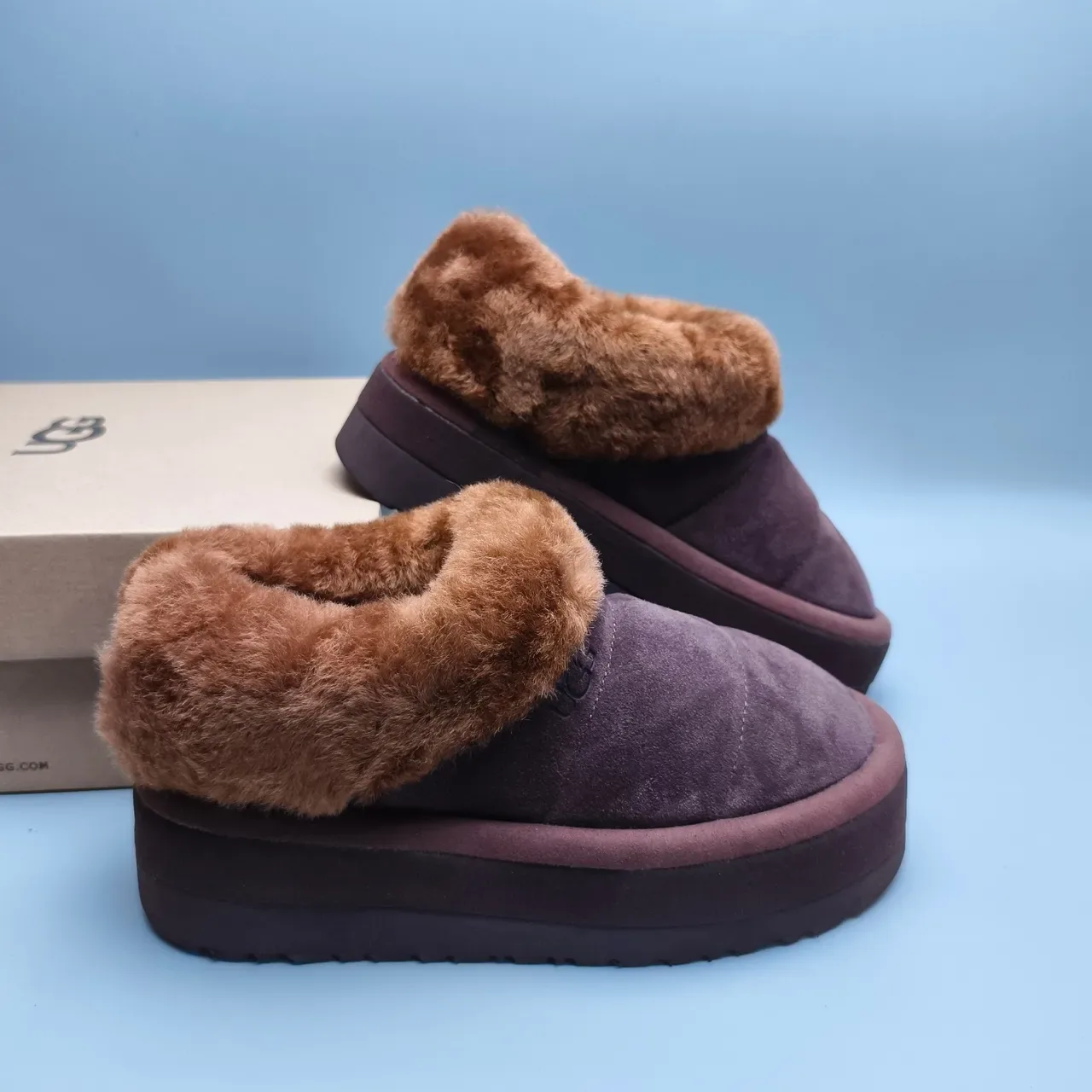 UGG Tasman ब्राउन बीज प्लेटफॉर्म सोल शियरलिंग-लाइन्ड कॉलर कासुअल जूते 6
