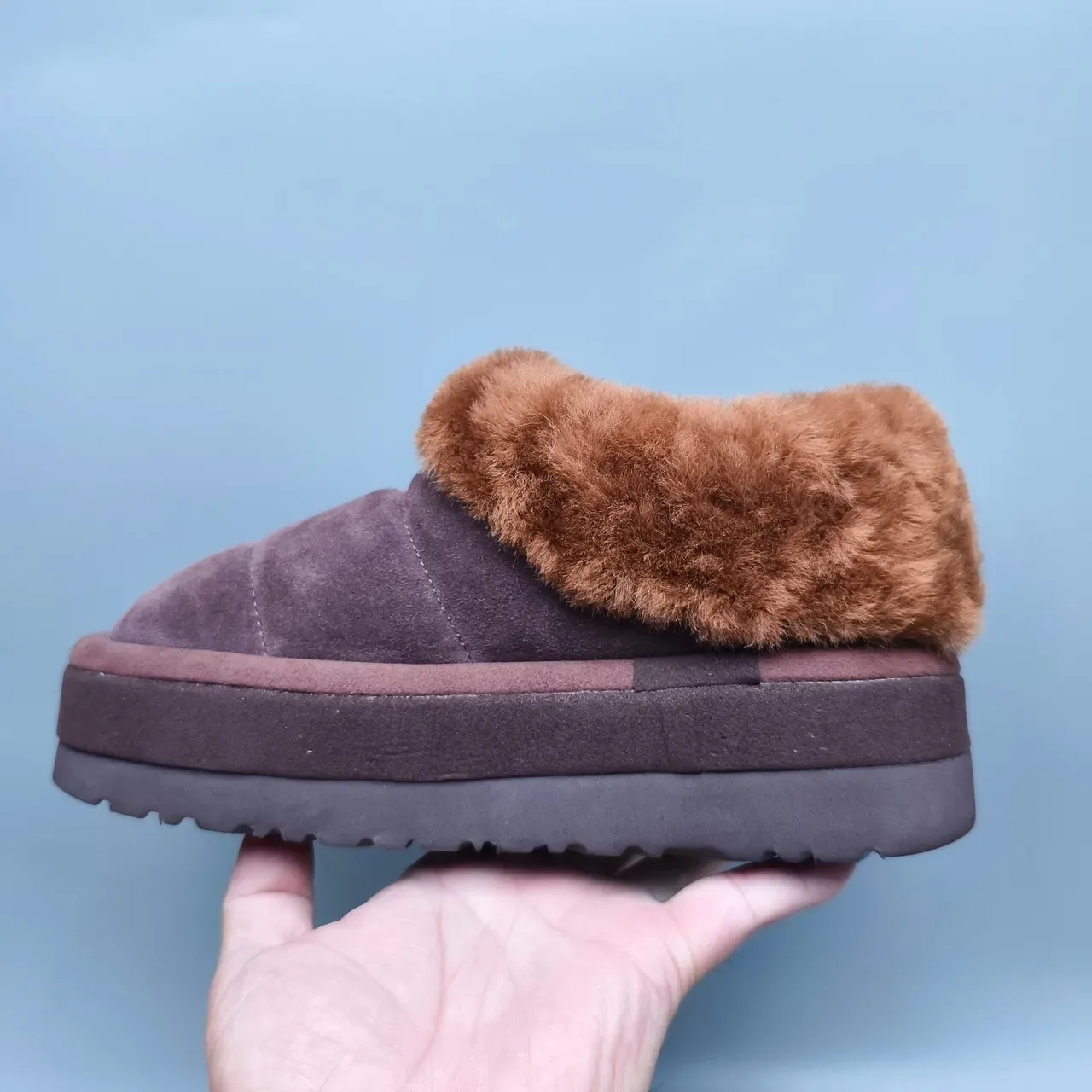 UGG Tasman ब्राउन बीज प्लेटफॉर्म सोल शियरलिंग-लाइन्ड कॉलर कासुअल जूते 7