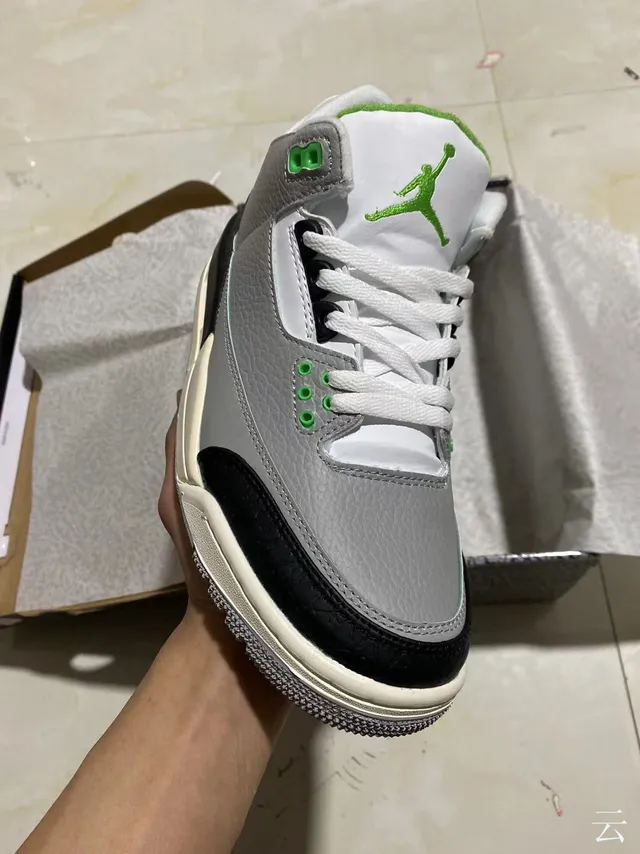 Chaussures de basketball Air Jordan 3 gris noir vert à imprimé éléphant 2