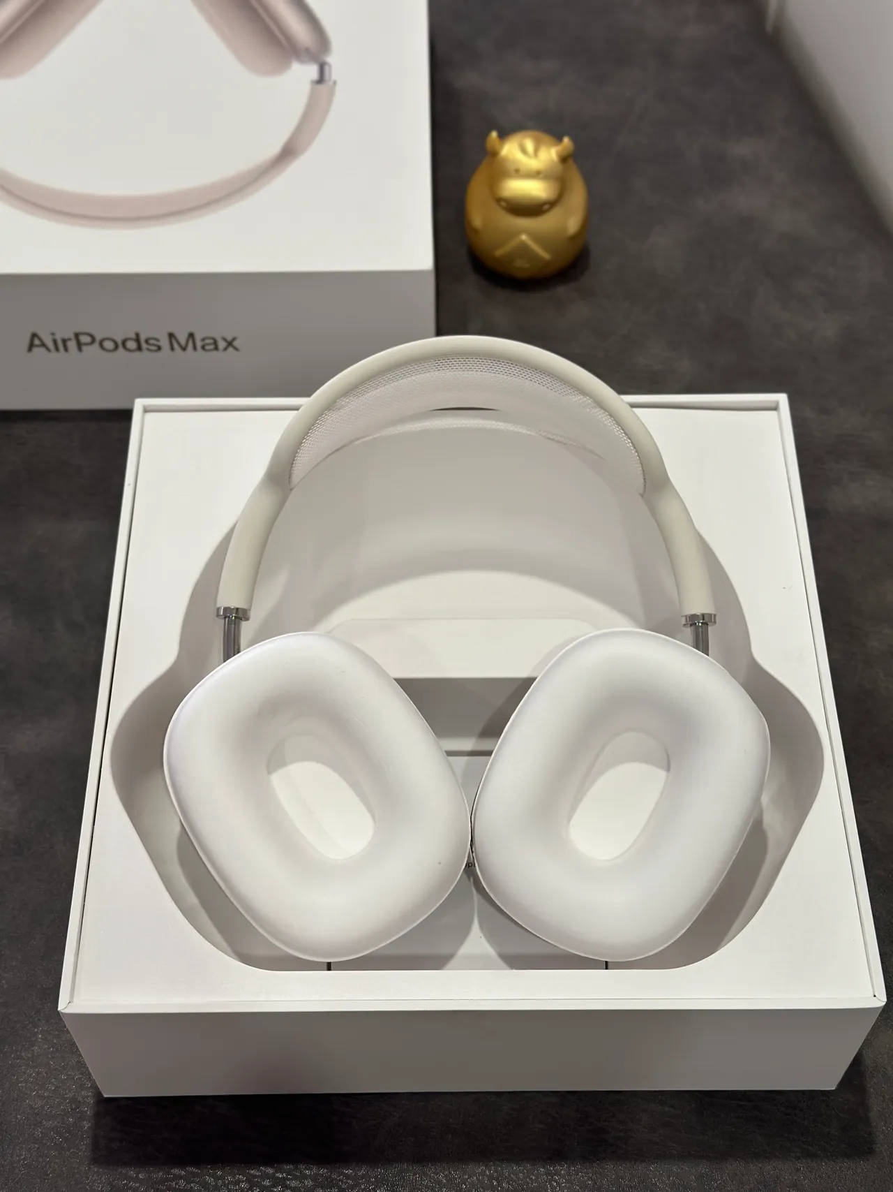 Apple AirPods Max Off-White Auriculares over-ear 14