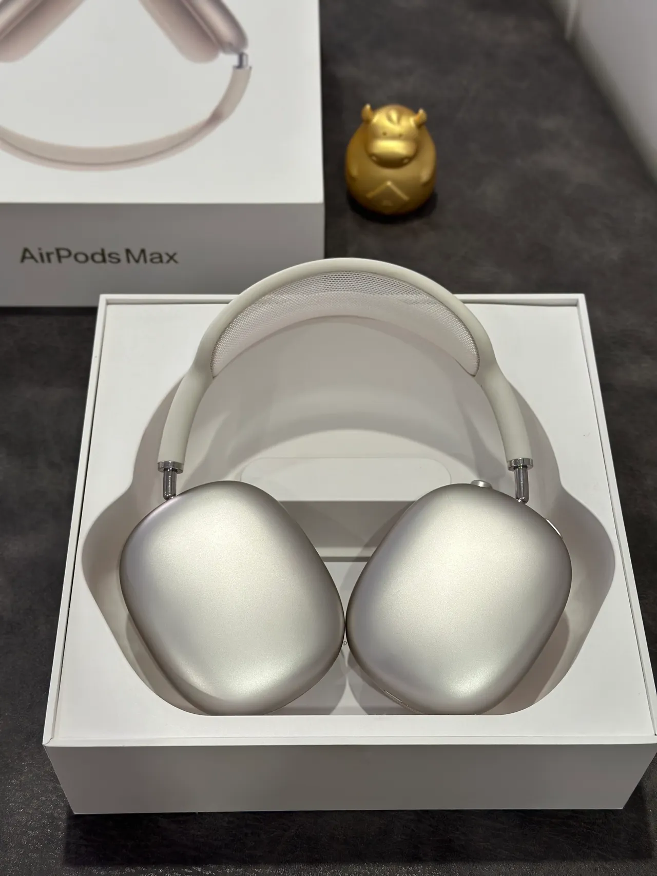 Apple AirPods Max Off-White Auriculares over-ear 15