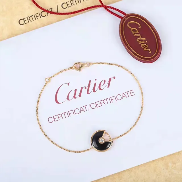Cartier Amulette de Cartier Malachite Cornaline Mère-de-perle Onyx Colier 3