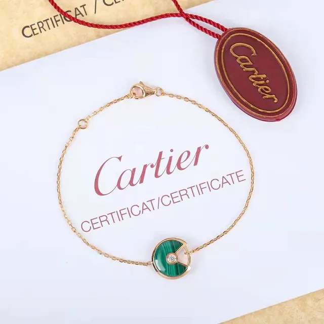 Cartier Amulette de Cartier Malachite Cornaline Mère-de-perle Onyx Colier 5