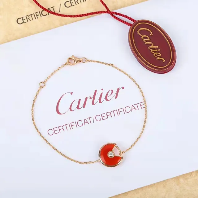 Cartier Amulette de Cartier Malachite Cornaline Mère-de-perle Onyx Colier 6