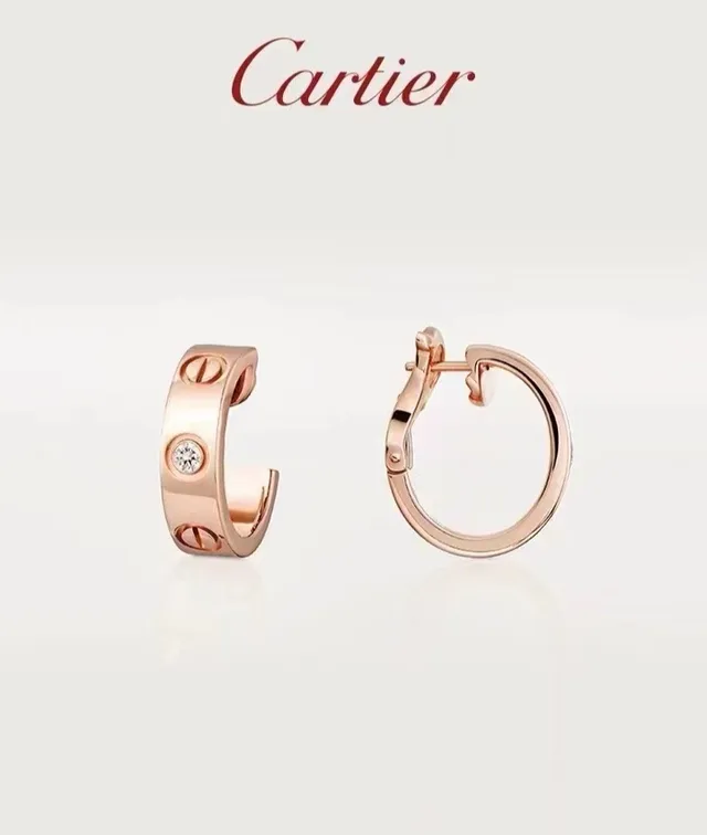 Cartier Love Gold Silver Hinged Hoop Screw-Motif Earrings 8