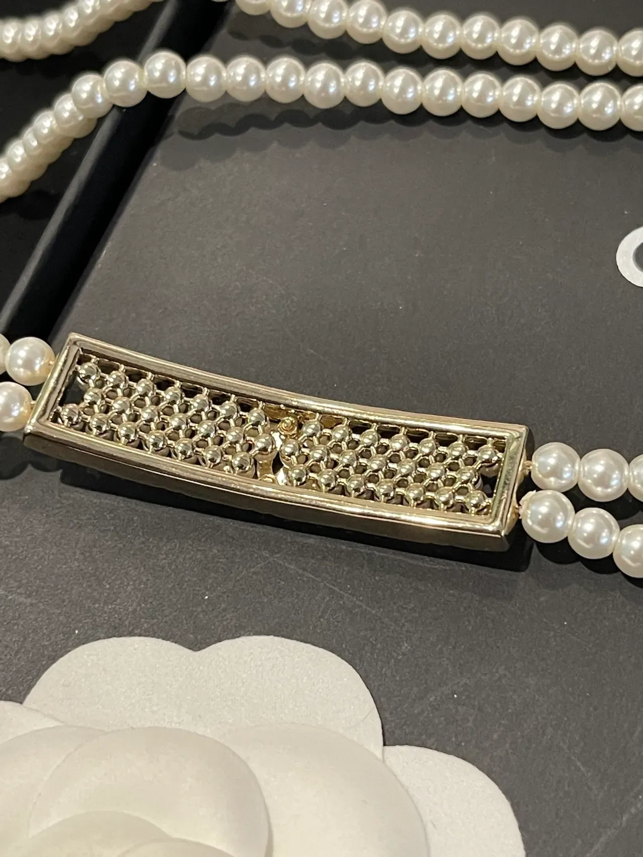 Chanel 白银双链珍珠 CC Logo 牌匾 项链 2