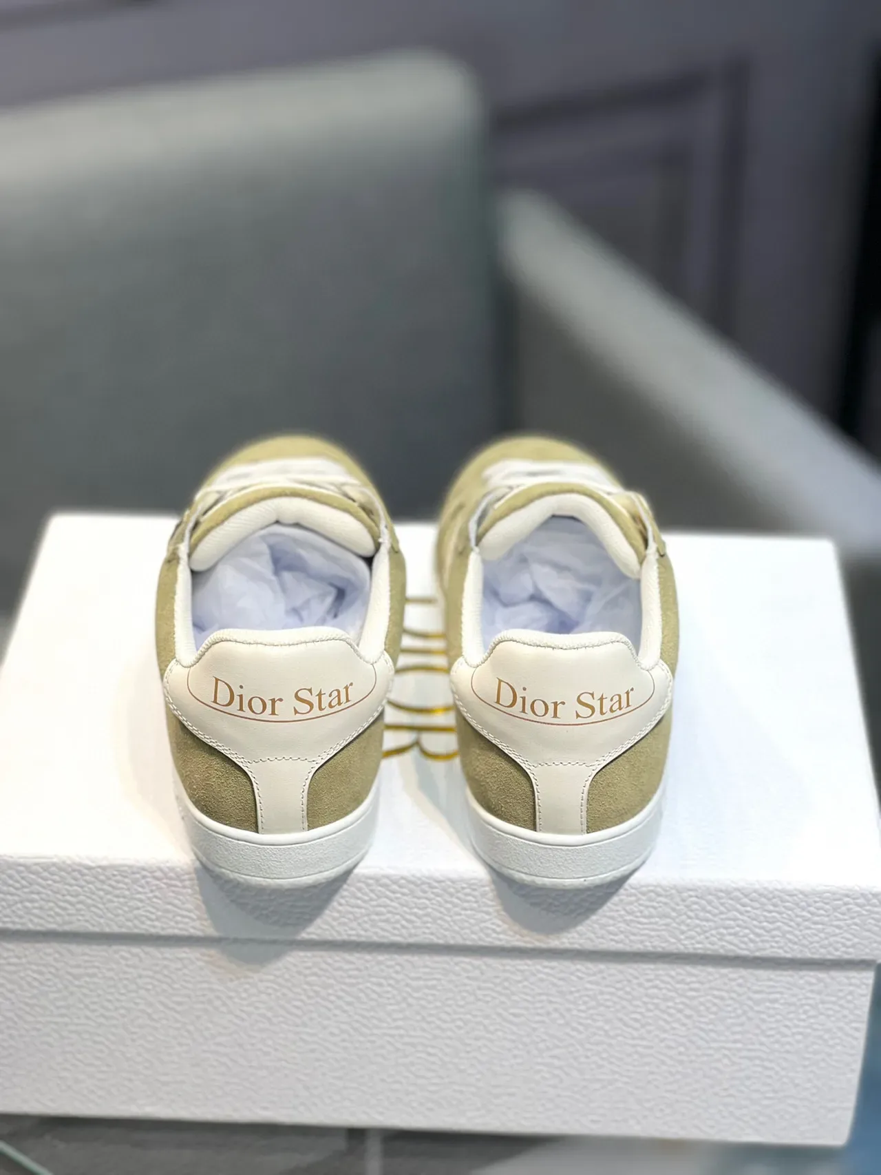 Dior Verde Blanco Ante Superior Detalle Motivo Estrella Lifestyle Sneakers 7