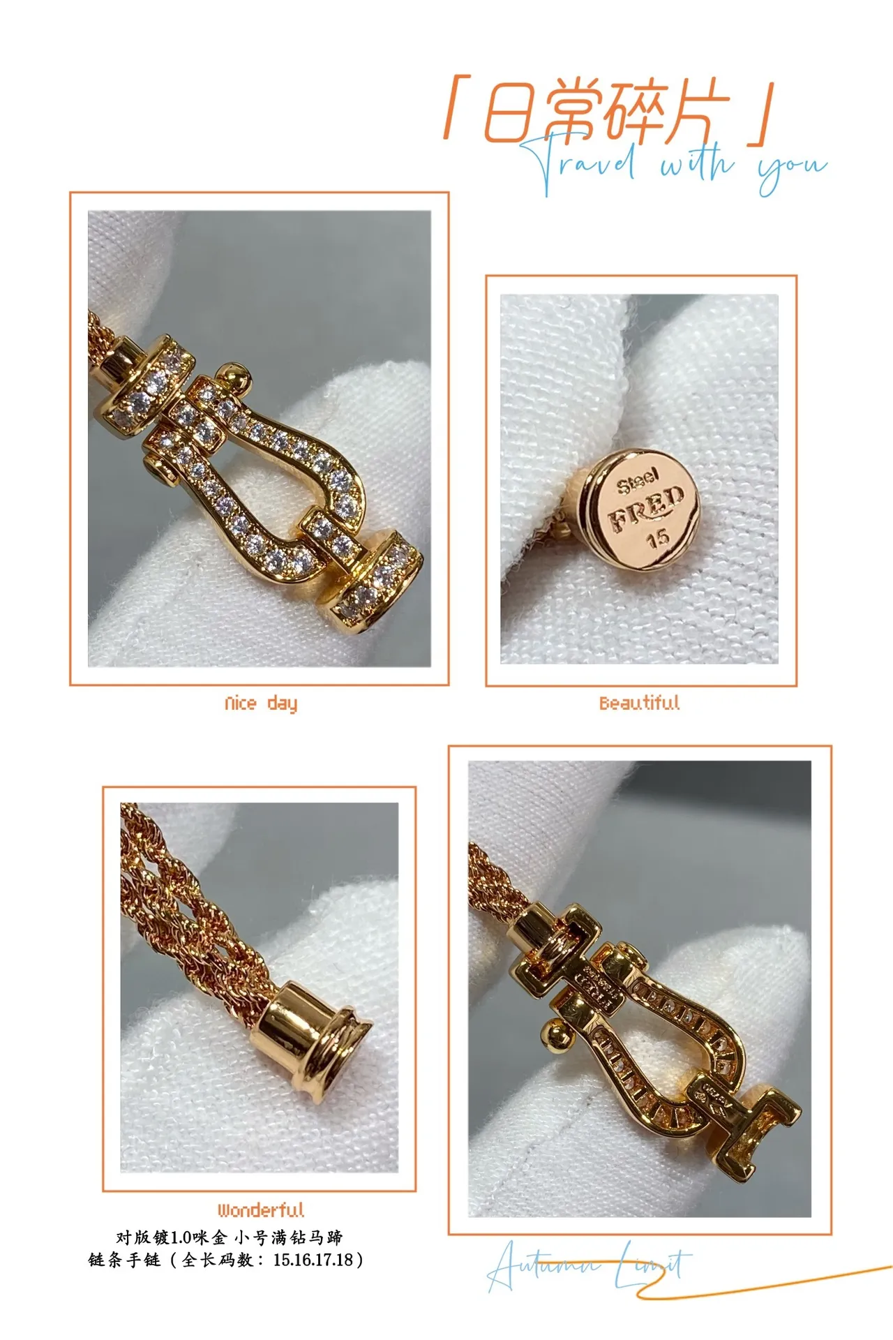 Dual-Tone Pavé Horseshoe Clasp Chain Bracelets 6