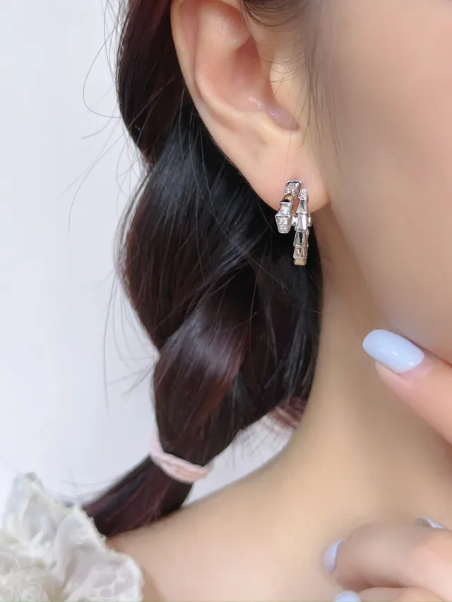 Gold and Silver Tone Segmented Pavé Hoop Earrings 3