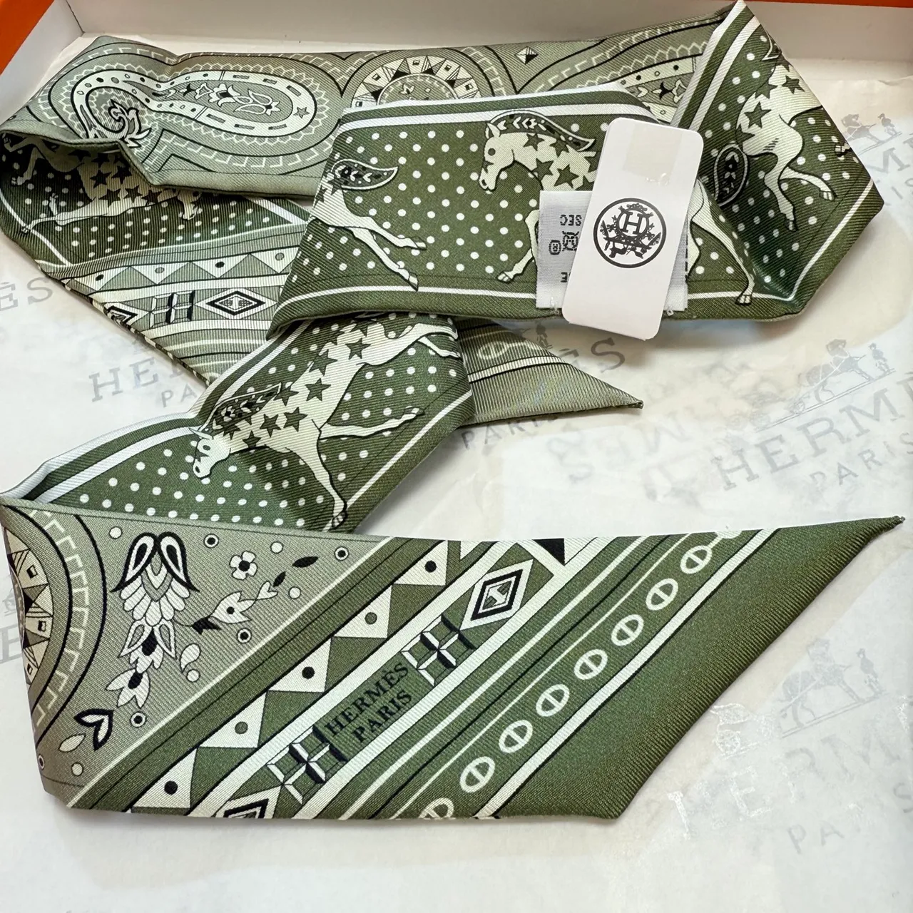 Hermès Twilly Vert et Blanc Étroit Allongé Silhouette Imprimé Paisley et Motifs Équestres Écharpe de Soie 3