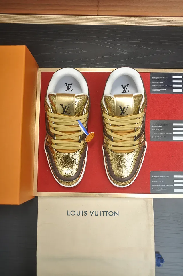 Louis Vuitton LV Trainer 金棕色金属裂纹皮革 分层面板构造 生活方式运动鞋 5