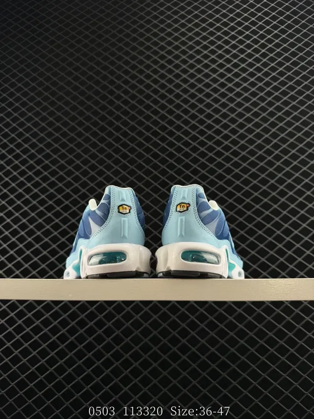 Nike Air Max Plus Gradient Blue Lifestyle Sneakers 6