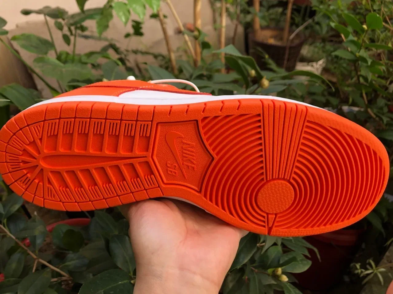 Nike Dunk Low Orange and White Lifestyle Sneakers 5