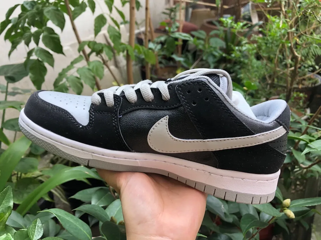 Nike SB Dunk Low Black Light Gray White Skateboard Shoes 5