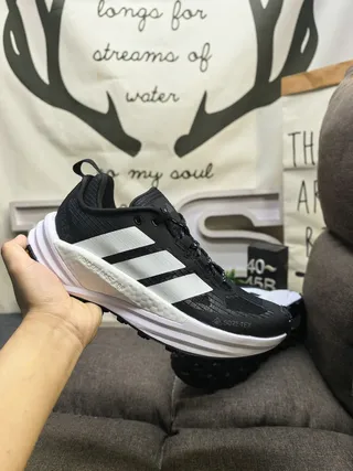 Adidas Terrex Two GORE-TEX Beige Chaussures de course 15