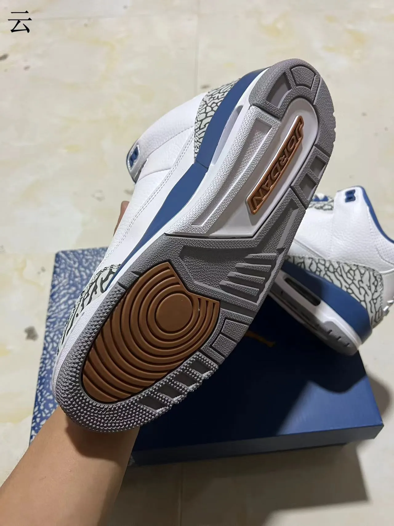 Chaussures de basketball Air Jordan 3 blanc bleu roi à imprimé éléphant 5