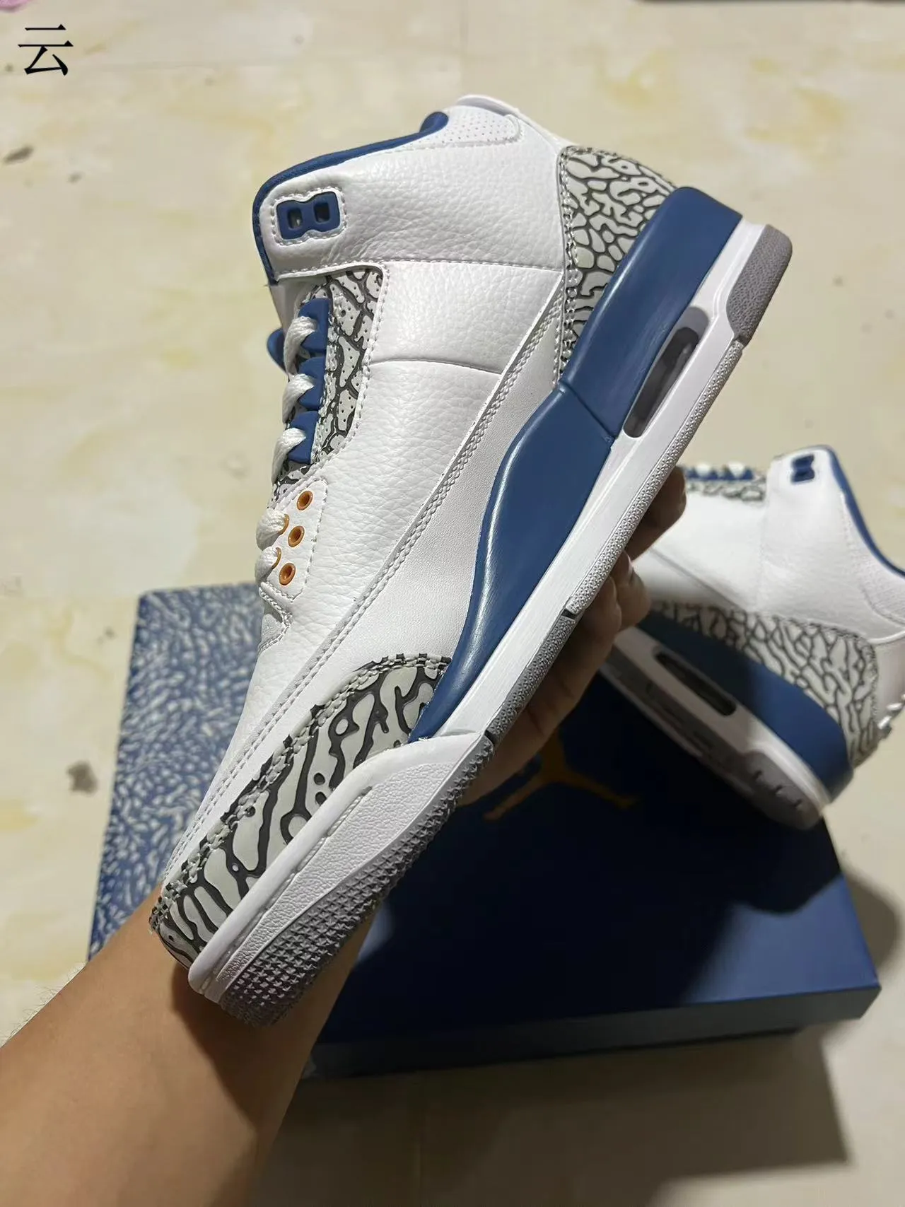 Chaussures de basketball Air Jordan 3 blanc bleu roi à imprimé éléphant 6