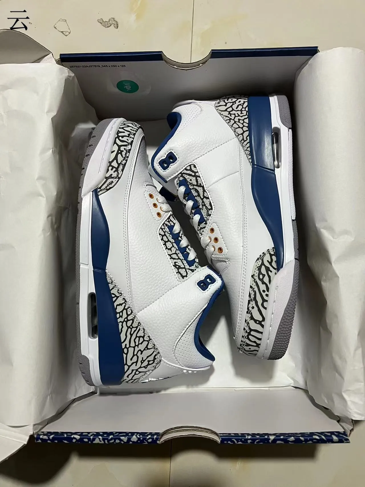 Chaussures de basketball Air Jordan 3 blanc bleu roi à imprimé éléphant 10